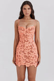 sorbet embroidered floral lace mini dress