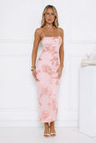 Estelle Mesh Maxi Dress Light Pink