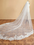 Luxury Floral Lace Cathedral Train Veil Bridal Veil Wedding Veil