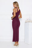 Aurora Elegance One Shoulder Mesh Maxi Dress Plum
