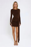 Styled To Thrill Long Sleeve Mini Dress Brown