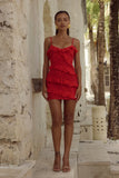 AISHA MINI DRESS RED