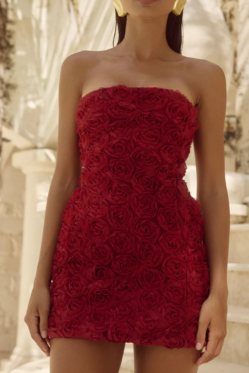 ROSALINE MINI DRESS CHERRY
