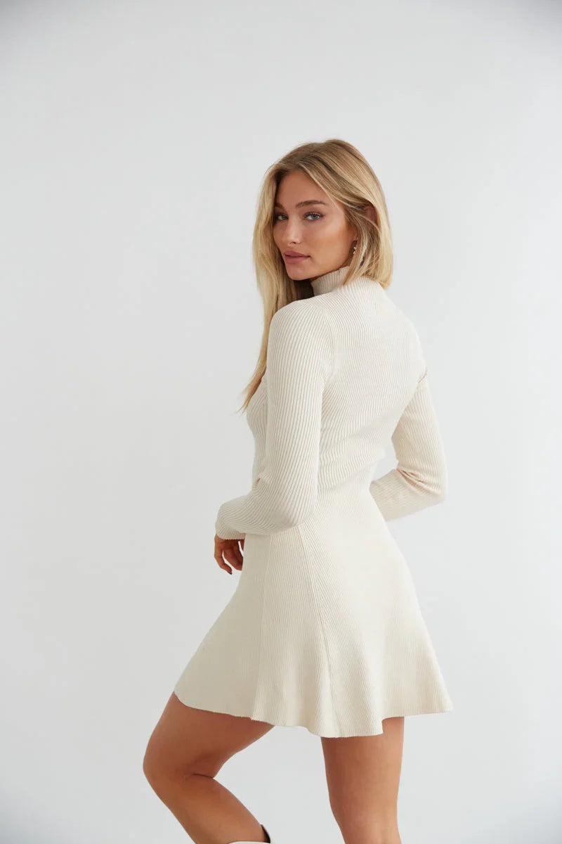 Millie Knit Turtleneck Mini Dress