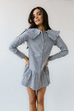 Renley Striped Mini Dress