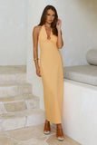 Dreamy Silhouette Halter Maxi Dress Sorbet