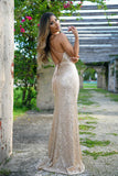 Eclipse Gown Gold V Neck Sequin Dress