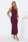 Aurora Elegance One Shoulder Mesh Maxi Dress Plum