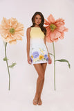 Pastel Prairie Mini Dress Ombre