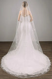 Two Tier Lace Appliques Edge Cathedral Veil Long Wedding Veil