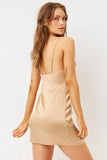 Arielle Silk Dress Earth