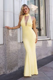 Kara Maxi Adjustable Halter Tie ITY Dress