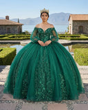 Dark Green Ball Gown Organza Half Sleeves Quinceanera Dress
