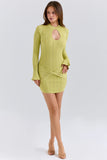 pistachio long sleeve mini dress