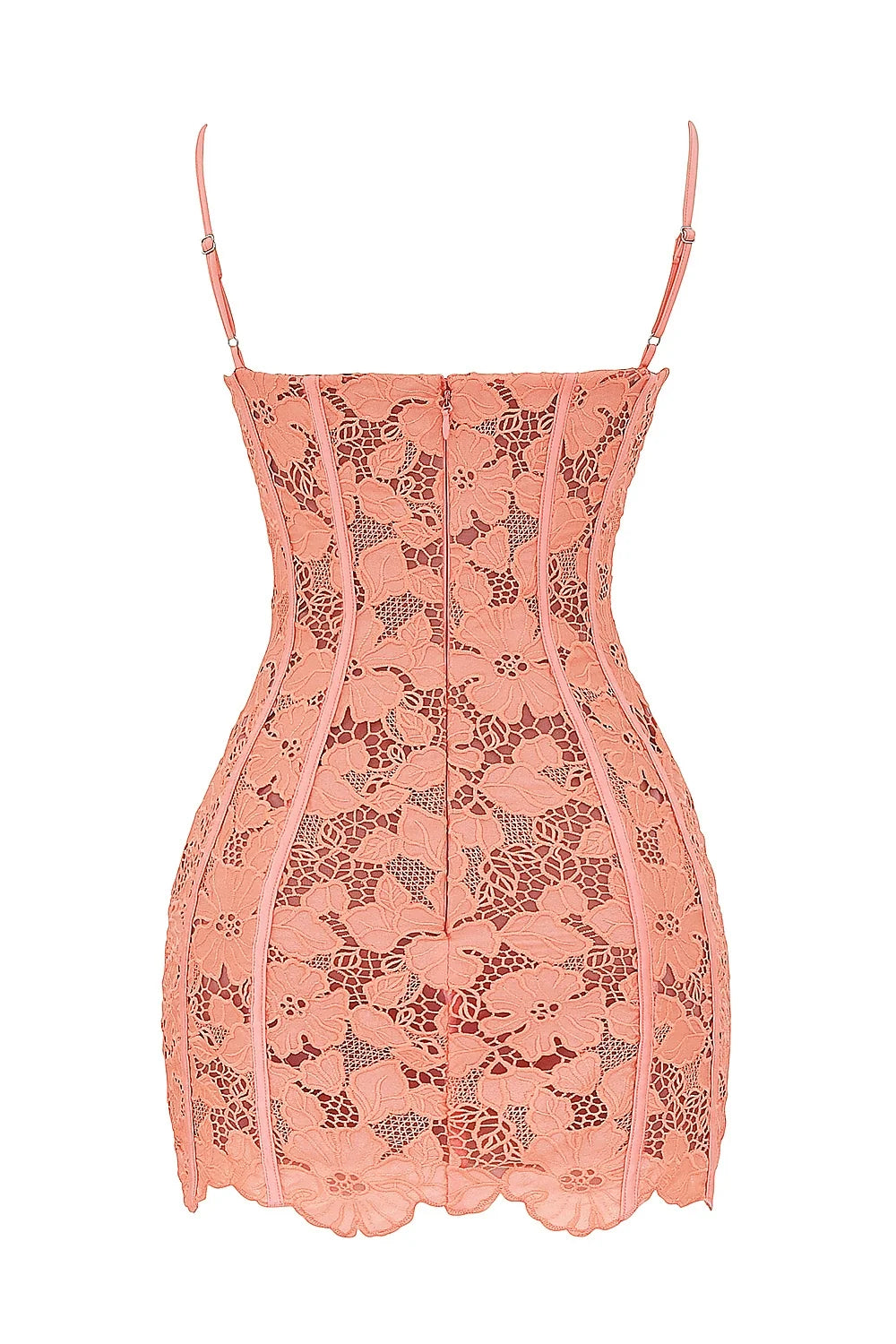 sorbet embroidered floral lace mini dress